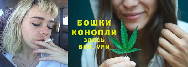 шишки Семилуки