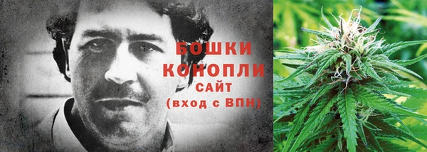 шишки Семилуки