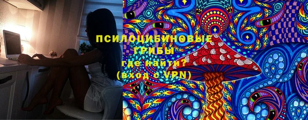 apvp Семёнов